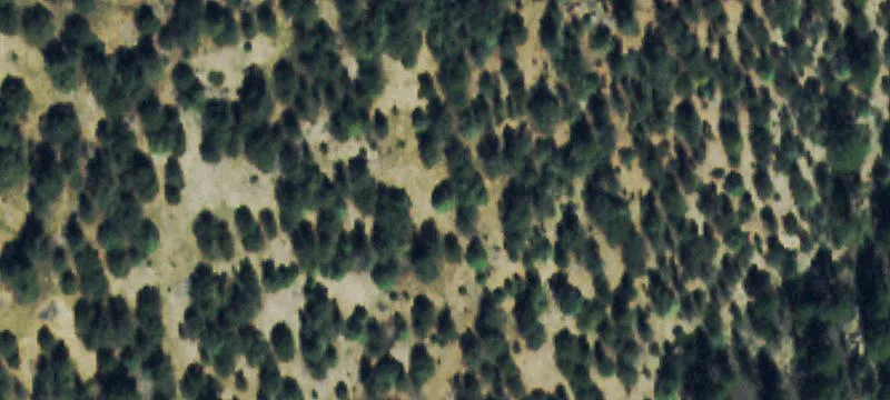 Ranch Land with Mountain Views