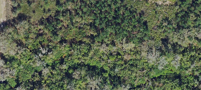 Waterfront Land Parcel