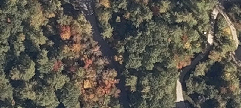 Wooded Residential Land Parcel