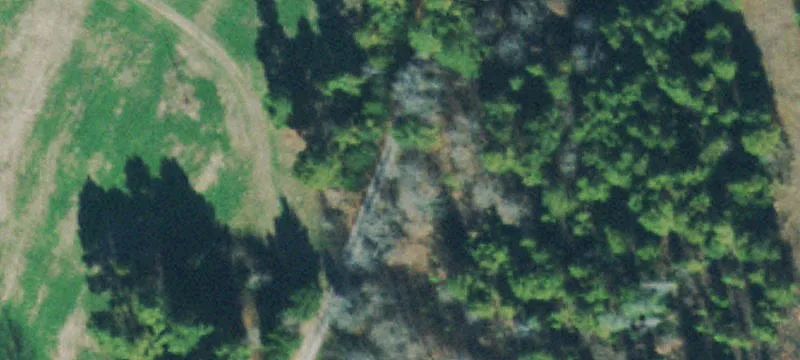 Deeded Recreational Farm Land