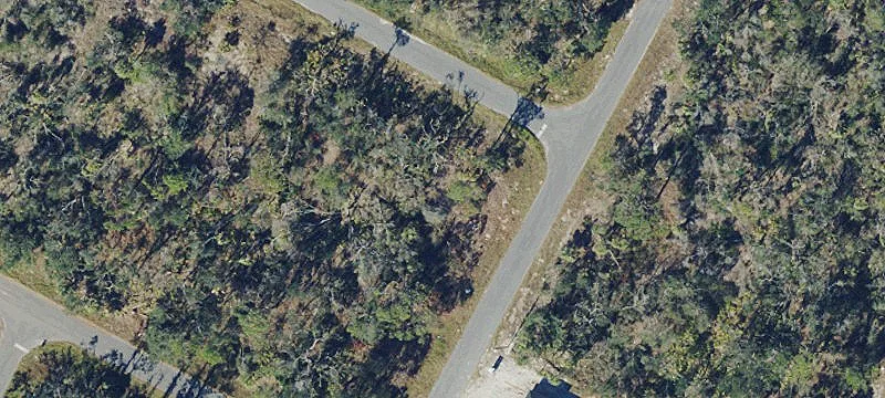 Oversized Corner Home Lot
