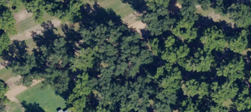 Waterfront Pecan Farm Land