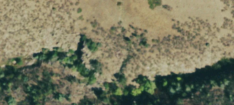 Hunting Land with Year-Round Creek