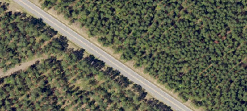 Hunting and Home Site Land