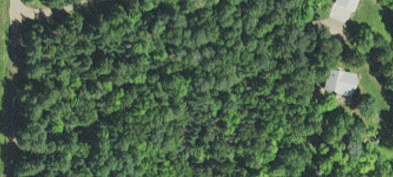 Wooded Hunting Land Acreage