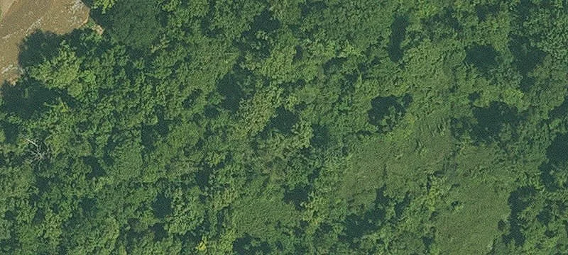 Cleared Land Tract with Development Potential