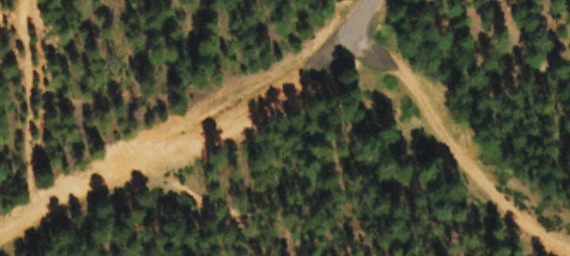 Residential Land Lot with Pines