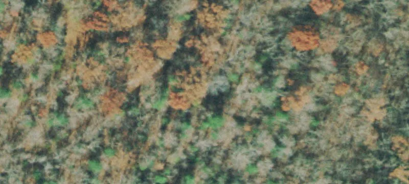 Recreation Membership Land Lot