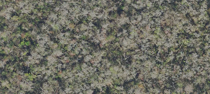 Residential Land Lot