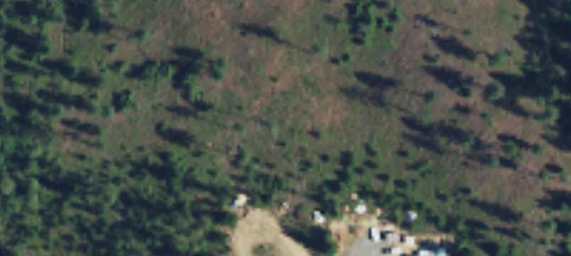 Recreational Timberland Homesite