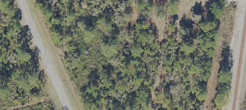 Buildable Acreage Lot