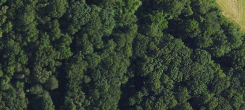 Agricultural Land Parcel with Creek