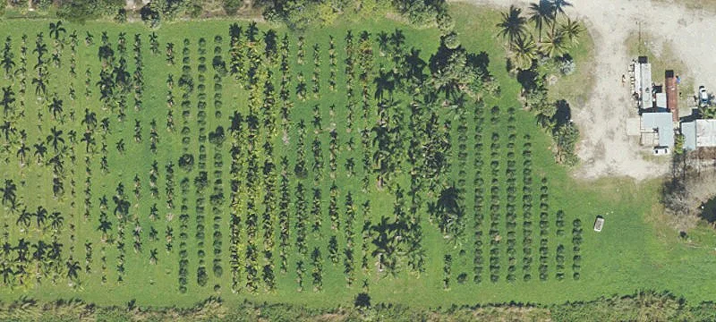 Agricultural Land Parcel