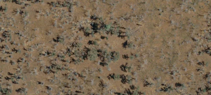 Level Farmland with Utilities