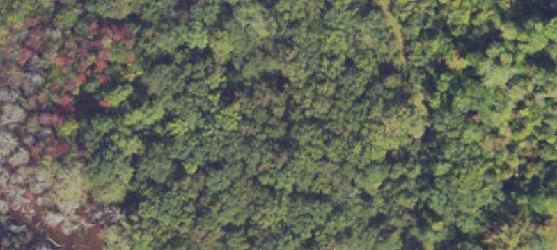 Country Home Site with Creek