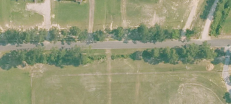 Cleared, Fenced Agricultural Land