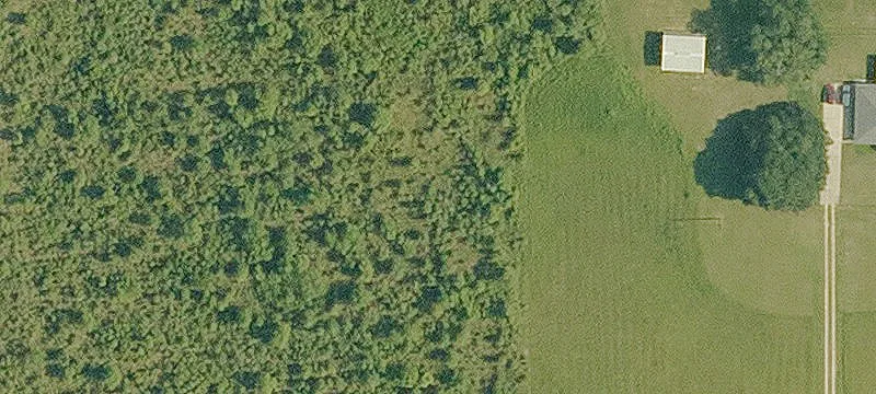 Undeveloped Country Acreage Tract