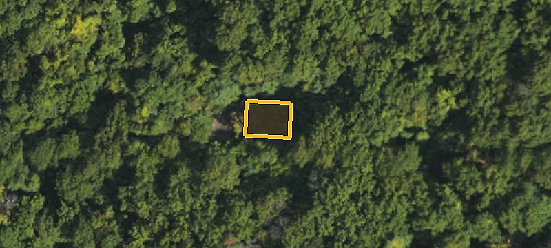 Wooded Mountain Land Tract