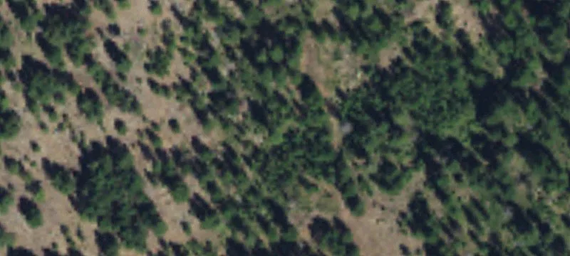 Forested Hunting and Recreation Land