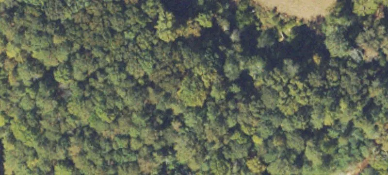 Acreage Tract with Creek