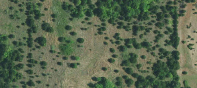 Hunting and Recreational Land
