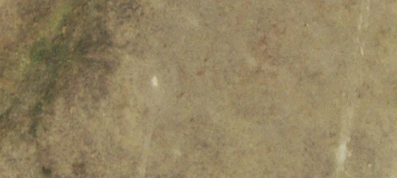 Agricultural Land with Ranch Home
