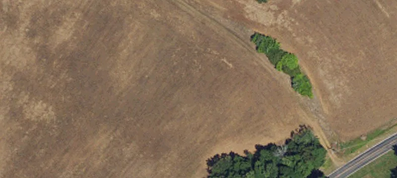 Mostly Cleared Residential Home Lot