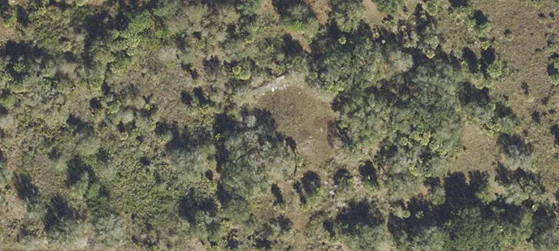 Wooded Recreation Land Lot