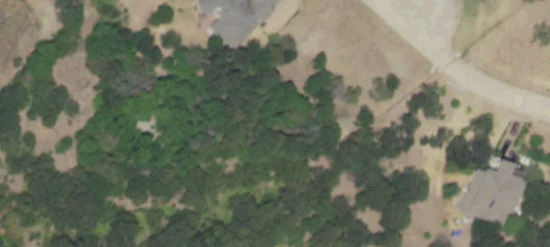 Residential Lot with Mature Trees