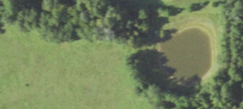 Unimproved Waterfront Hunting Land