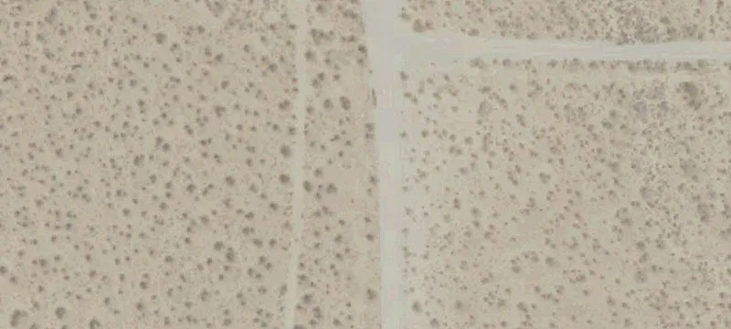 Agricultural Farmland