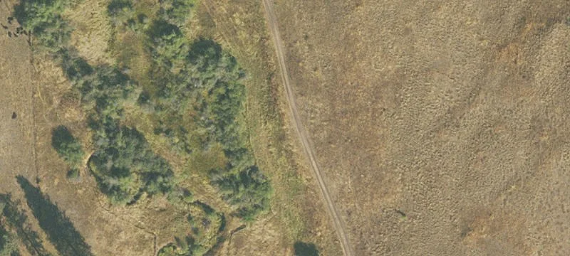 Cattle and Hunting Ranch