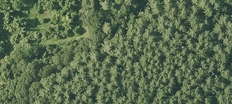 Residential Development Land Parcel