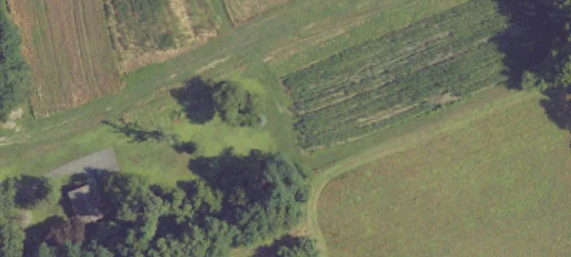 Cleared Flag-Shaped Vacant Lot