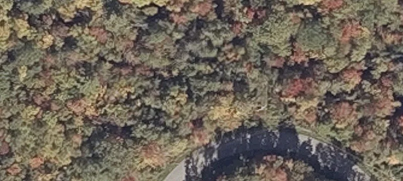 Wooded Residential Building Lot