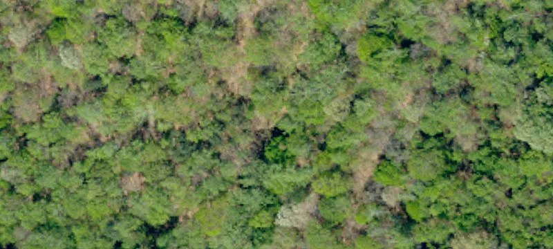 Specialty Land Parcel