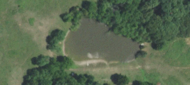 Wooded Country Home Lot