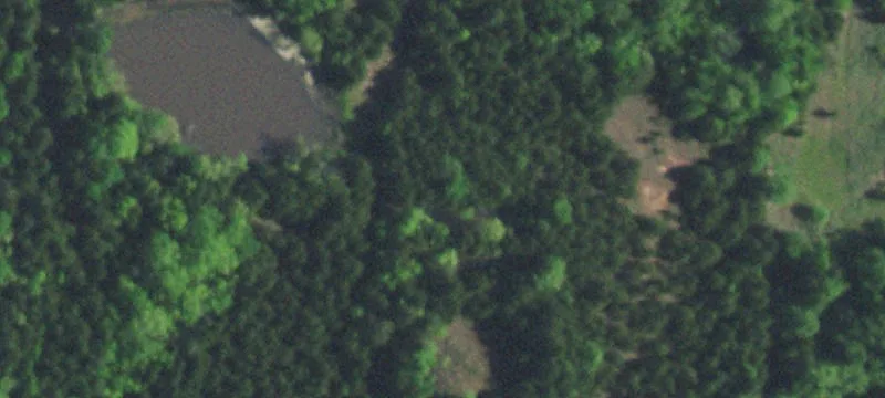 Rural Acreage with Pond
