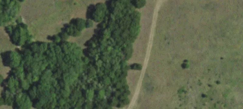 Horse & Equestrian Land with Barn