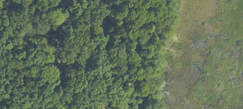 Hunting Land with Pole Barn