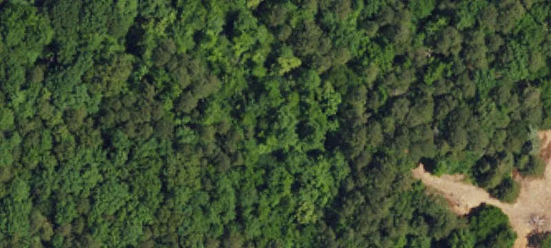 Wooded Land with Creek