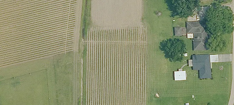 Interior Farmland with Right-of-Way