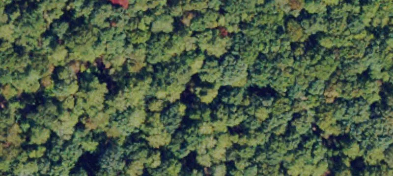 Wooded Recreational Land with Creeks