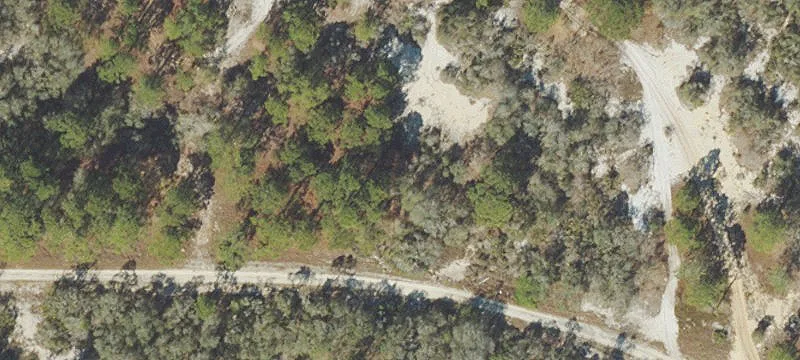 444 MORNINGSIDE Dr, Lake Placid, FL 33852