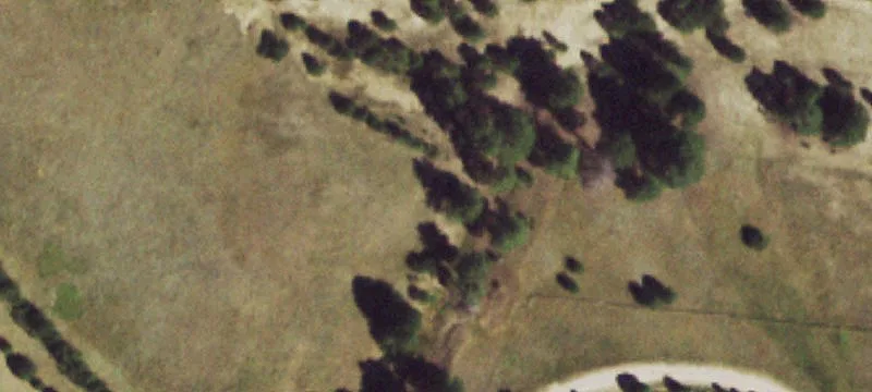 Horses-Are-Allowed Mountain-View Parcel