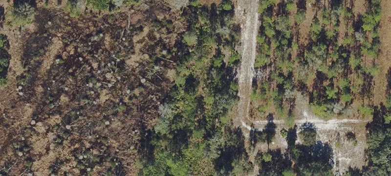 Conservation Land with Lake Access