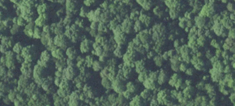 Residential Land Lot in Subdivision