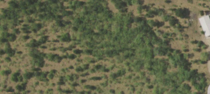 Acreage Homesite in Deed-Restricted Community