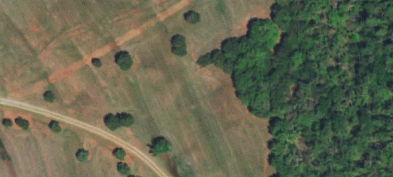 Greenhouse and Shop Property