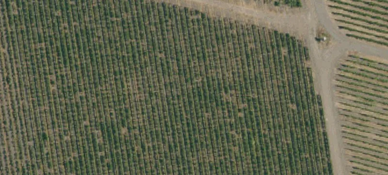 Specialty Land Parcel